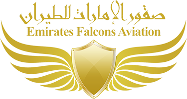 EFA Logo